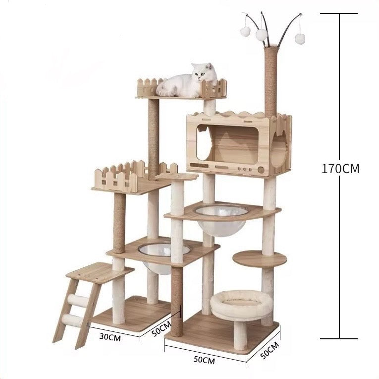 Arbre à chat - Cèdre