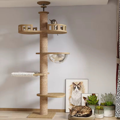 Arbre à chat - Gaïa