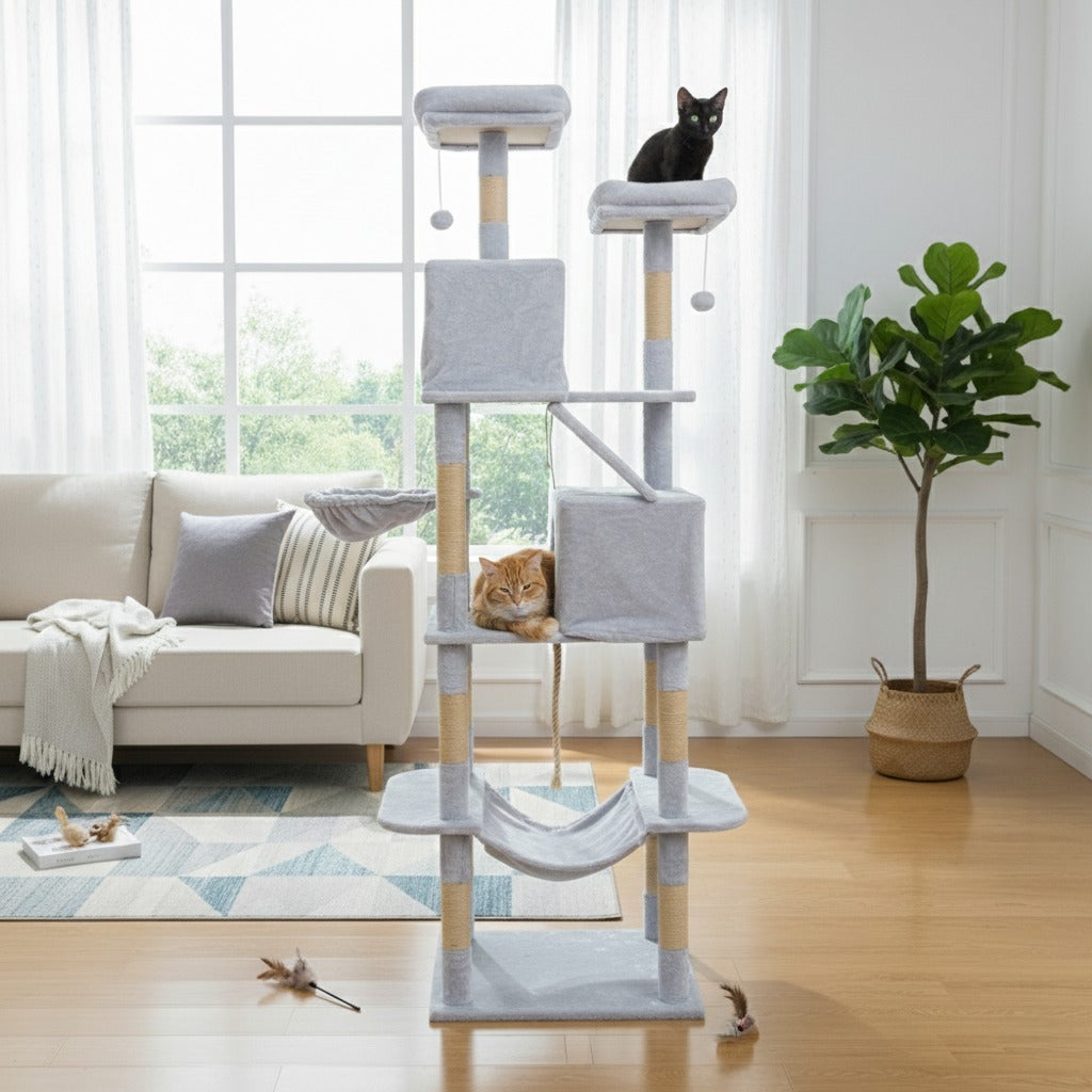 Arbre à chat - Nébula