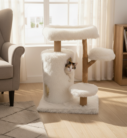 Arbre à chat - Nova