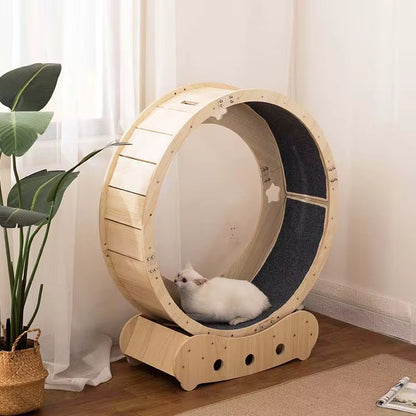 Roue de course pour chat